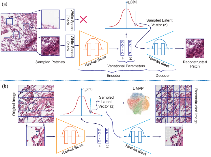 Variational Autoencoder